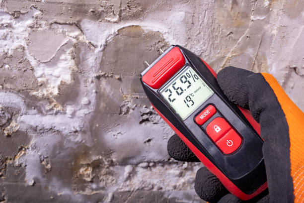 Best Affordable Mold Removal  in Saginaw, TX