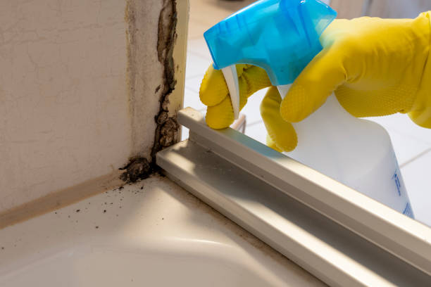 Best Crawl Space Mold Removal  in Saginaw, TX