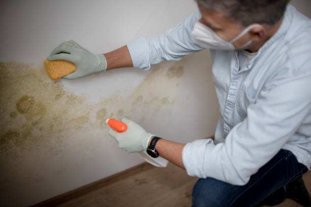 Best Mold Testing  in Saginaw, TX