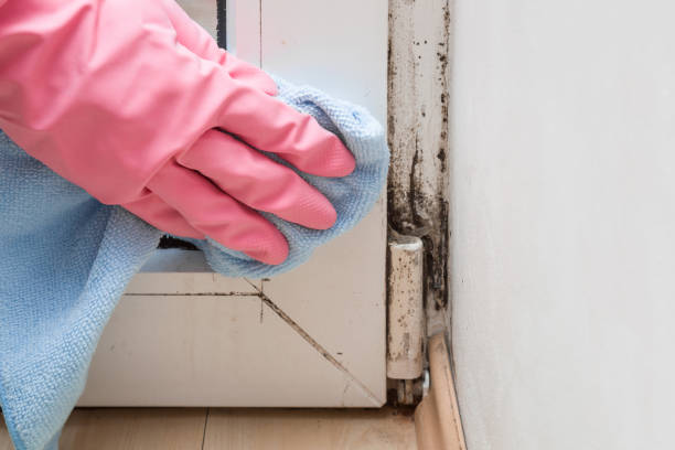 Best Mold Cleaning Services  in Saginaw, TX